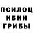 Псилоцибиновые грибы Psilocybe BOPOHcn