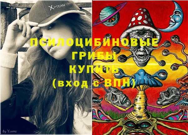 2c-b Алексеевка
