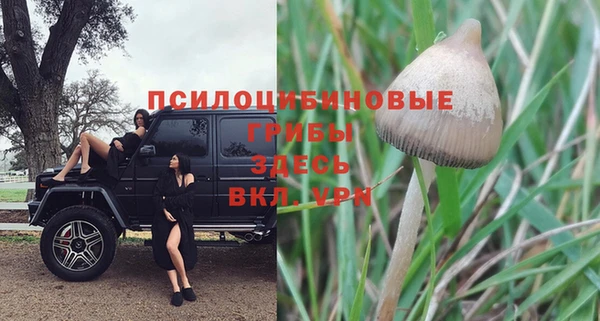 2c-b Алексеевка