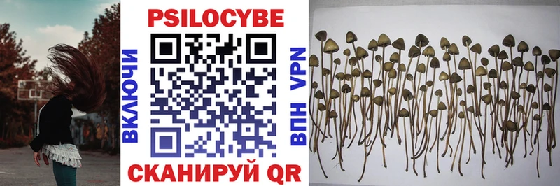 МЕГА как войти  хочу наркоту  Хадыженск  Галлюциногенные грибы Magic Shrooms 